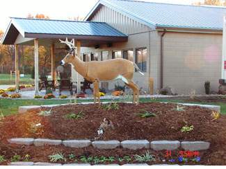 North side of Langham Outdoors Lodge building, featuring deer garden